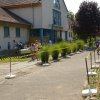 Falunap 2017